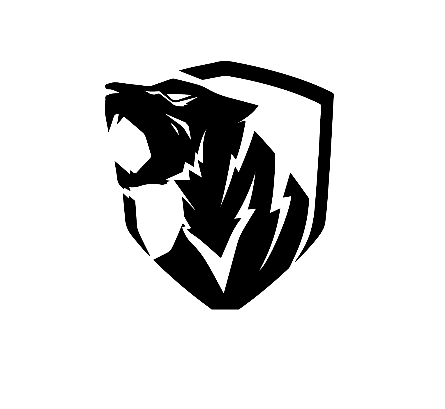 BLACK TIGER CLUB